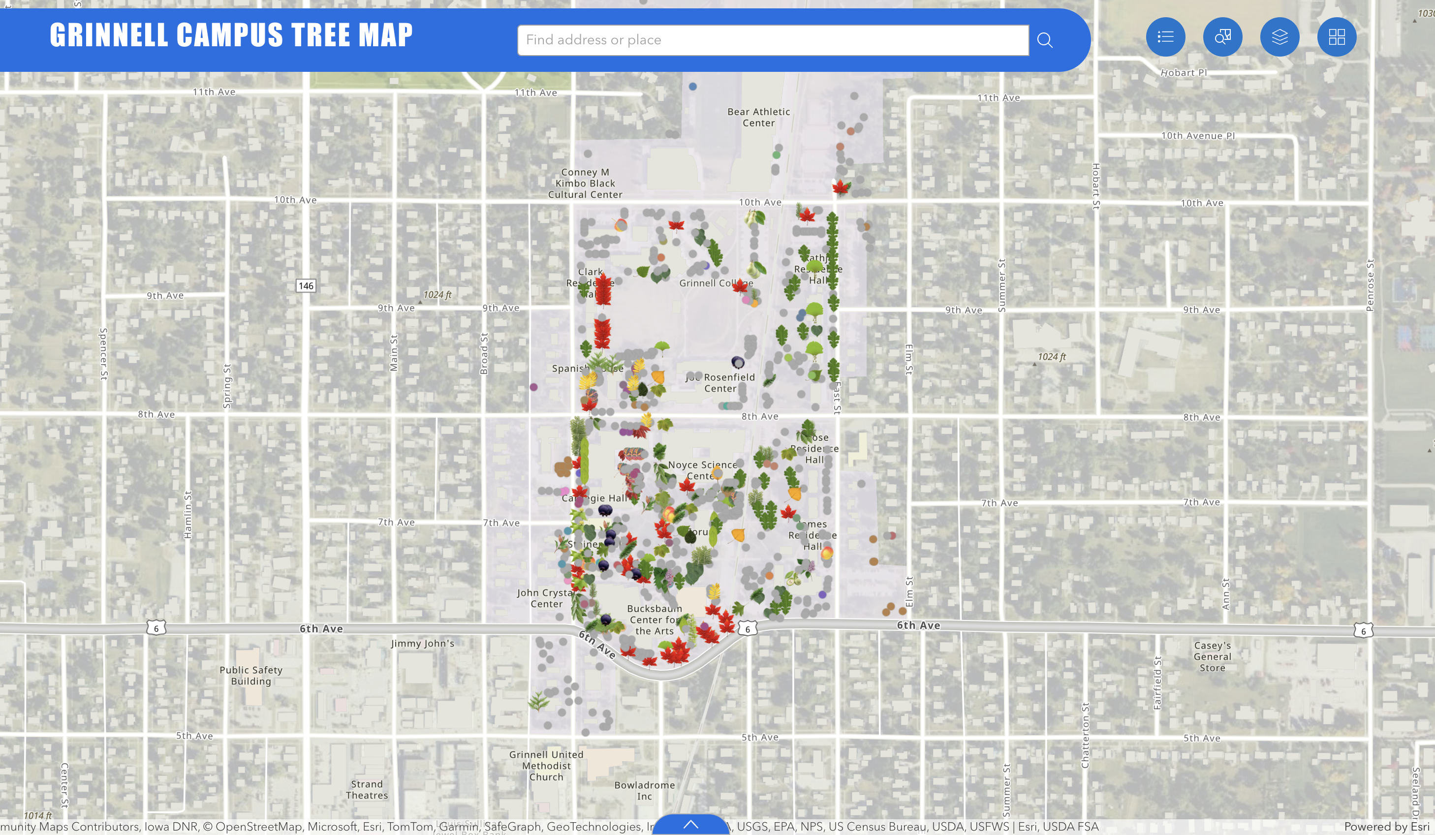 A screenshots of an ArcGIS map "Grinnell College Tree Map"